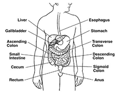 Surgery Colorectal Cancer Treatment,Cost Colorectal Cancer,Colon, Colorectal Cancer Treatment