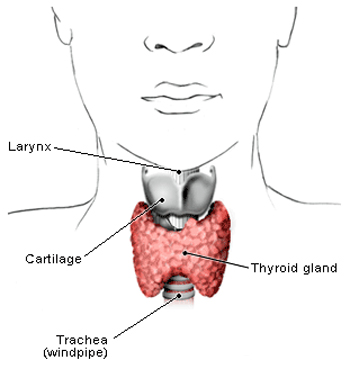 India Surgery Laryngeal Cancer, Cost Laryngeal Cancer, Throat Cancer, Laryngeal Cancer