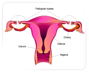 Laparoscopic Tubal Ligation, Tubal Ligation India, tubes tied, tubal reversal, birth control methods